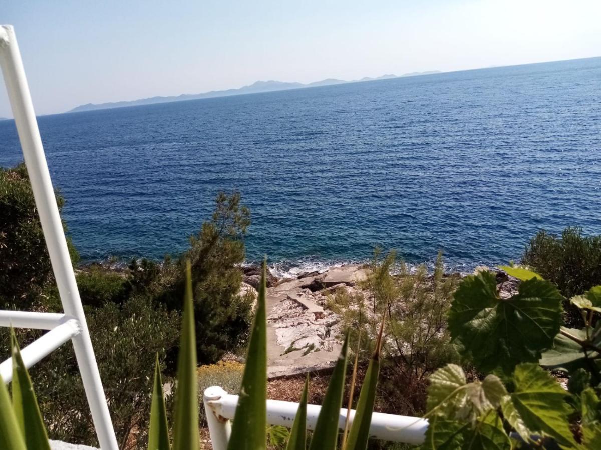 Apartman Laus Zavalatica