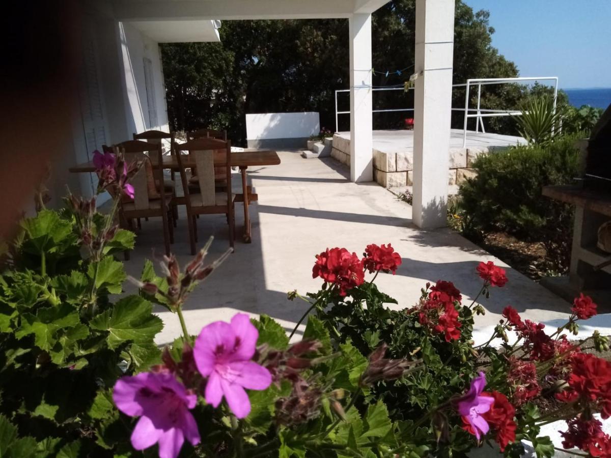 Laus Apartman Zavalatica
